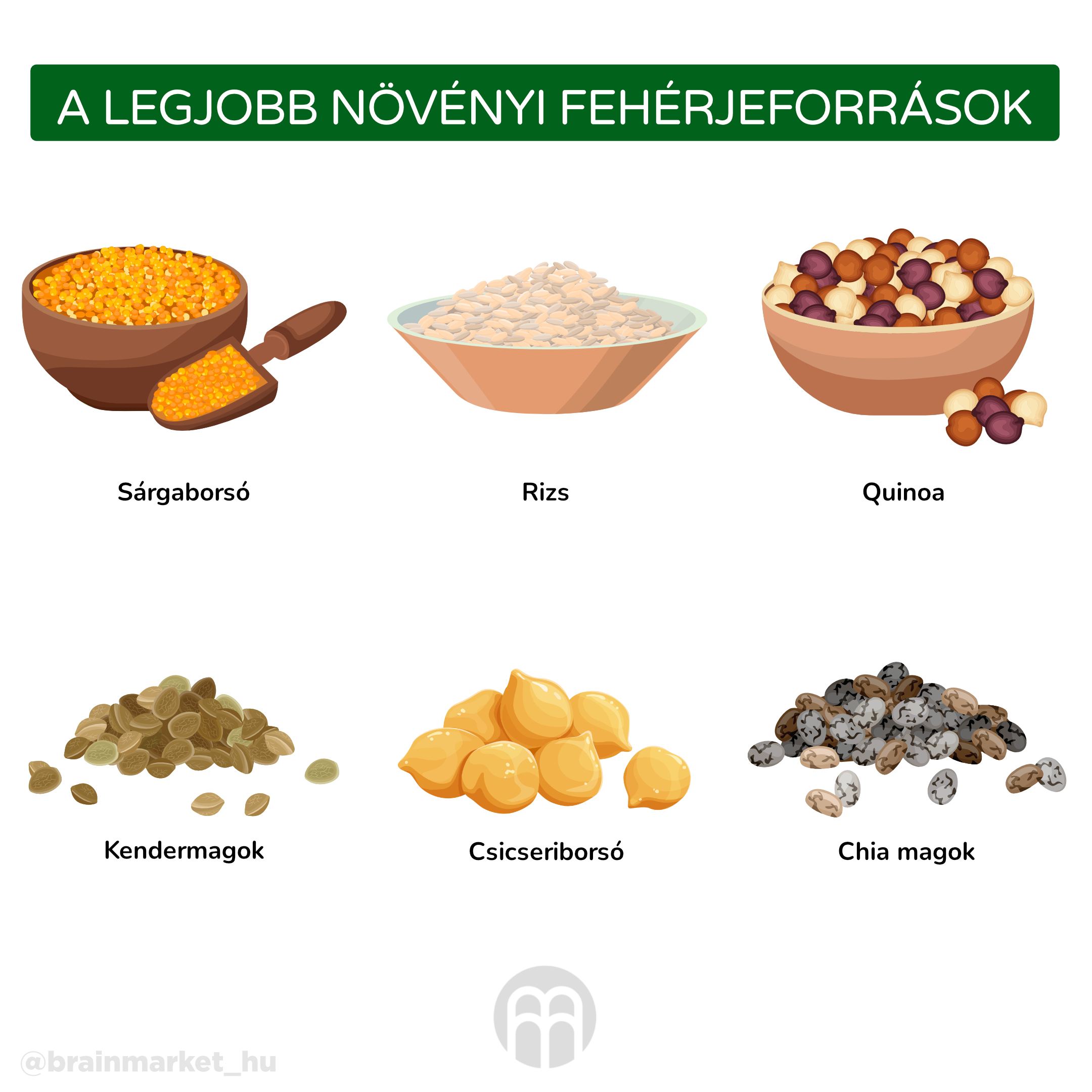 Nejlepší zdroje rostlinných bílkovin._infografika_hu